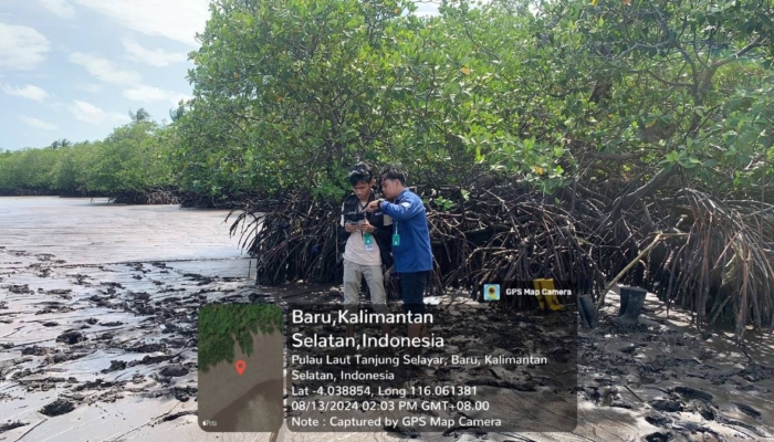 kabar-baik-dari-pesisir-kalimantan,-14-spesies-mangrove-ditemukan-tumbuh-subur-di-kotabaru