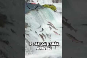Apa yang Akan Kamu Lakukan Jika Menemukan Spot Mancing yang Banyak Ikannya?