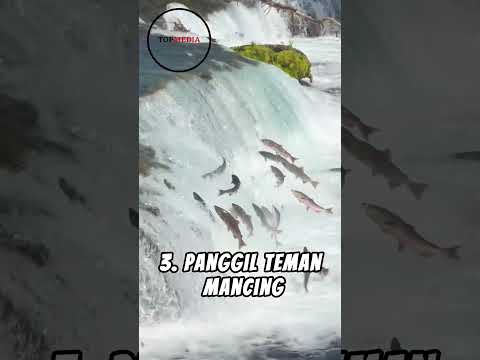 Apa yang Akan Kamu Lakukan Jika Menemukan Spot Mancing yang Banyak Ikannya?