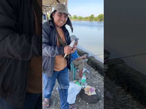 Nungguin Ayah Mancing Sampai Ketiduran‼️