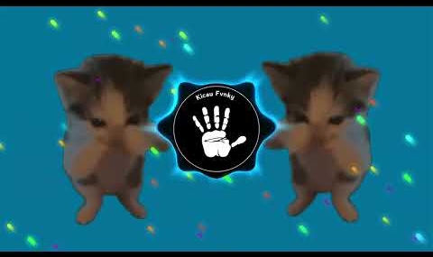 DJ KICAU KICAU KICAU MANIA SLOW VIRAL TIKTOK FULL SONG MAMAN FVNDY 2026