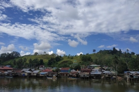 kabupaten-teluk-bintuni:-rumah-bagi-ekosistem-mangrove-indonesia-dan-lumbung-gas-nusantara