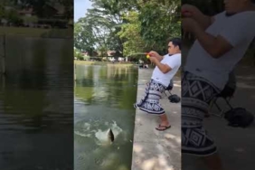 Mancing mania #shortvideo