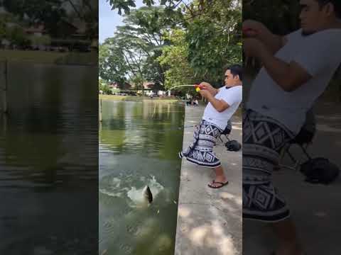 Mancing mania #shortvideo