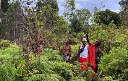Hari Lingkungan Hidup Sedunia 2026, WALHI Papua Soroti Krisis Hutan Adat