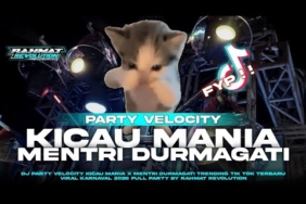 DJ KICAU MANIA X MENTRI DURMAGATI PARTY VELOCITY VIRAL TIK TOK 🔥🔥🔥