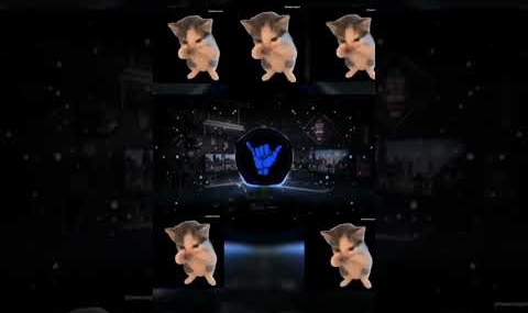 DJ KICAU KICAU KICAU MANIA SLOW VIRAL TIKTOK TERBARU 2026