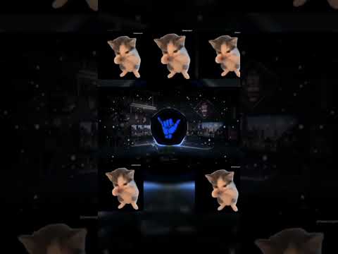 DJ KICAU KICAU KICAU MANIA SLOW VIRAL TIKTOK TERBARU 2026