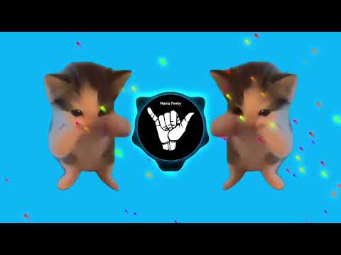 DJ KICAU KICAU KICAU MANIA SLOW VIRAL TIKTOK FULL SONG MAMAN FVNDY 2026