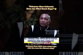 Kekayaan Alam Indonesia: Emas untuk Siapa? #dharmapongrekun #papua #emas #nikel