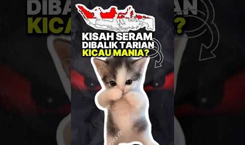 Fakta mengerikan kucing kicau mania⁉️🤯 #shorts #kucing #gamer
