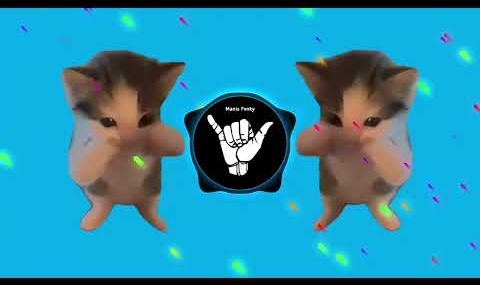 DJ KICAU KICAU KICAU MANIA SLOW VIRAL TIKTOK FULL SONG MAMAN FVNDY 2026