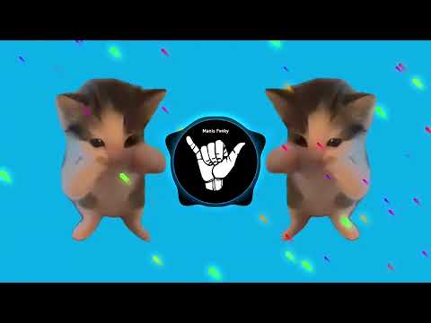DJ KICAU KICAU KICAU MANIA SLOW VIRAL TIKTOK FULL SONG MAMAN FVNDY 2026
