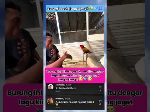 Dengar Lagu Kicau Mania Langsung Joget 😂🐦🎶#burung #birds #viral #tranding