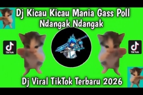 DJ KICAU KICAU MANIA X CAROUSEL REMIX | GASS POLL NDANGAK NDANGAK MANOK KU SIAP NEMBAK VIRAL 2026
