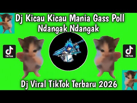 DJ KICAU KICAU MANIA X CAROUSEL REMIX | GASS POLL NDANGAK NDANGAK MANOK KU SIAP NEMBAK VIRAL 2026