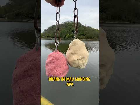 Mau Mancing Ikan Apa Ni Bolo‼️😱 #fishing #viral #trendjng #fyp