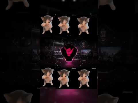 DJ KICAU KICAU KICAU MANIA SLOW VIRAL TIKTOK TERBARU 2026