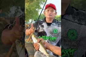 TARIKAN IKAN BANDENG MEMANG TOP😘😘😘
