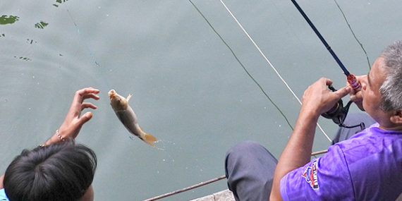 Umpan Air Tawar : Racikan Umpan Djempol Premium Amis Untuk Ikan Mas Lomba