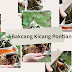 merawat-jejak-sejarah-peh-cun-dan-nikmatnya-bakcang-kicang-ala-pontianak