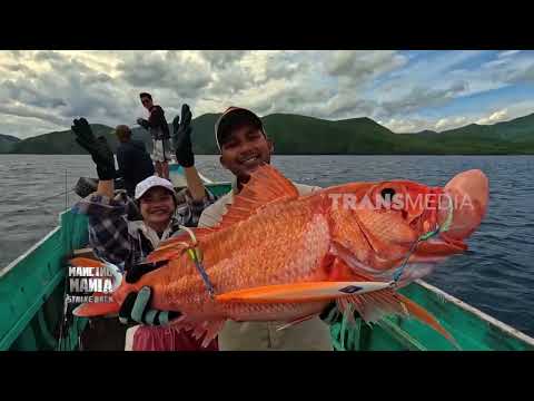 Mancing Bareng Jenny di Pulau Mules NTT | MANCING MANIA STRIKE BACK (23/05/26) P2