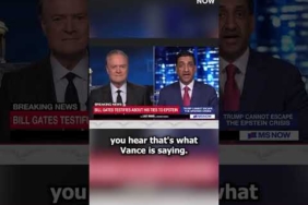 Khanna blasts Bondi and Vance over alleged Epstein files cover up