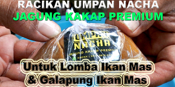 Kabarmancing Channel : Racikan Umpan ‘Nacha’ Untuk Lomba Mas & Galapung