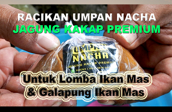 kabarmancing-channel-:-racikan-umpan-‘nacha’-untuk-lomba-mas-&-galapung