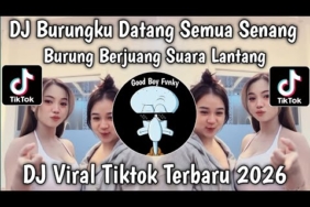DJ BURUNGKU DATANG SEMUA SENANG || KICAU MANIA BREAKBEAT VERSI TIKTOK TERBARU 2026