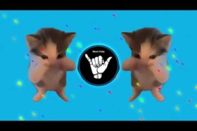 DJ KICAU KICAU KICAU MANIA SLOW VIRAL TIKTOK FULL SONG MAMAN FVNDY 2026