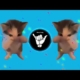 DJ KICAU KICAU KICAU MANIA SLOW VIRAL TIKTOK FULL SONG MAMAN FVNDY 2026