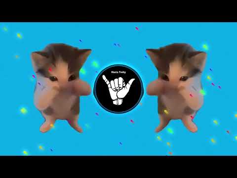 DJ KICAU KICAU KICAU MANIA SLOW VIRAL TIKTOK FULL SONG MAMAN FVNDY 2026