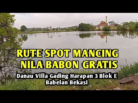 Rute Spot Mancing Nila Babon Gratis Bekasi