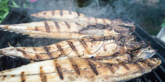 Sebagai Orang Jawa, Saya Merasa Miskin saat Tahu Orang Sumatra Tak Bisa Makan tanpa Lauk Ikan