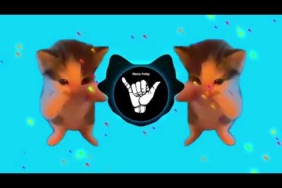 DJ KICAU KICAU MANIA REMIX ANGKATLAH TOPI MINAT MONGGO JAPRI VIRAL TIKTOK TERBARU 2026