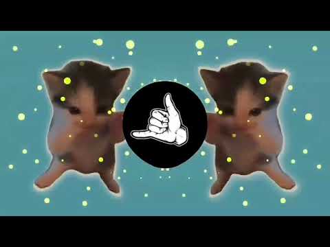 DJ KICAU KICAU MANIA SLOW VIRAL REMIX FULL SONG VIRAL TIKTOK TERBARU 2026 YANG KALIAN CARI!