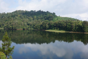 legenda-asal-usul-danau-rayo-di-musi-rawas-utara,-cerita-rakyat-dari-sumatra-selatan