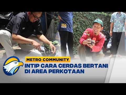 Metro Community – Lahan Sempit Bisa Panen Sayur! Komunitas KORAL Ajarkan Urban Farming