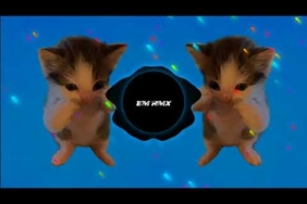 DJ KICAU MANIA X CURI CURI PANDANG SLOW VIRAL TIKTOK TERBARU 2026 YANG KALIAN CARI !!!