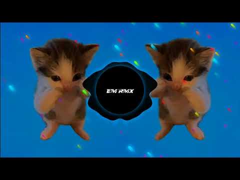 DJ KICAU MANIA X CURI CURI PANDANG SLOW VIRAL TIKTOK TERBARU 2026 YANG KALIAN CARI !!!