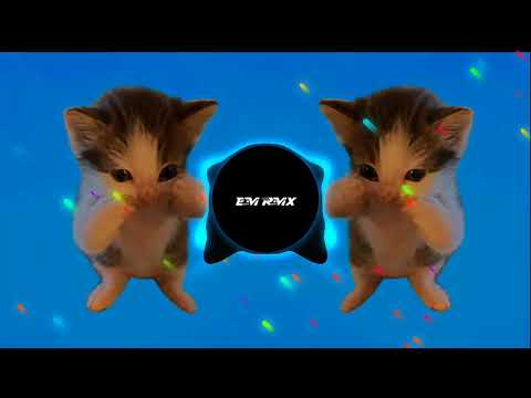 DJ KICAU MANIA REMIX X KUCING JOGET KICAU MANIA GASPOL NDANGAK VIRAL TIKTOK AKBAR CHALAY