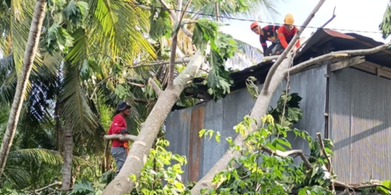 Angin Kencang Landa 6 Desa di Sidrap, 7 Rumah Rusak, 29 Jiwa Terdampak
