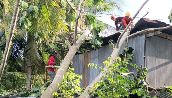 angin-kencang-landa-6-desa-di-sidrap,-7-rumah-rusak,-29-jiwa-terdampak