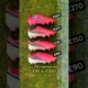 ALL €90 to €300 adidas F50 Hyperfast boots explained