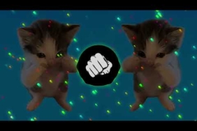 DJ KICAU KICAU MANIA SLOW VIRAL REMIX FULL SONG VIRAL TIKTOK TERBARU 2026 YANG KALIAN CARI!