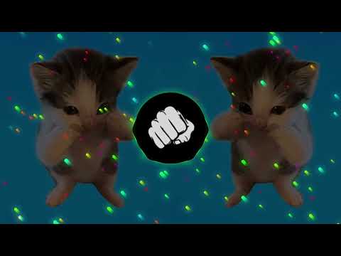 DJ KICAU KICAU MANIA SLOW VIRAL REMIX FULL SONG VIRAL TIKTOK TERBARU 2026 YANG KALIAN CARI!