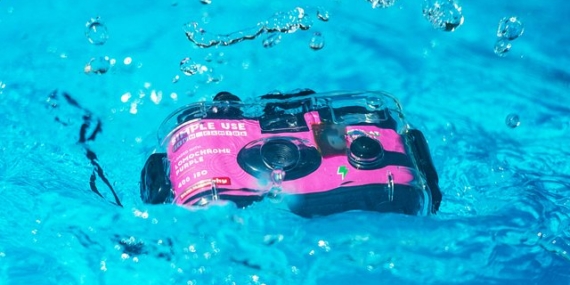 Our Picks for the Best Compact Film Cameras for Summer 2026