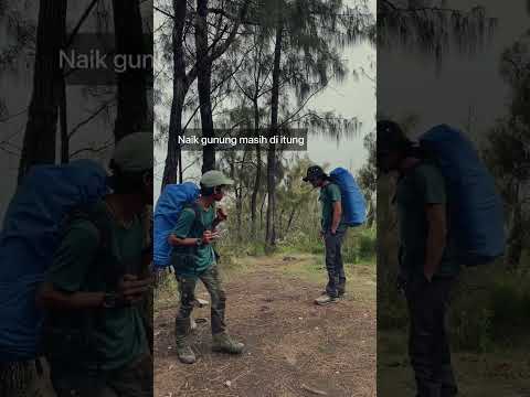 Dzawin brani banget nyenggol pendaki senior!!