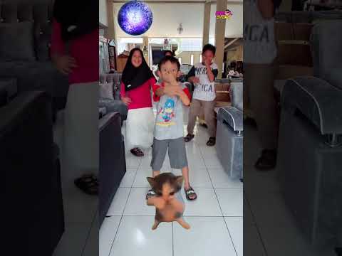 KICAU MANIA😁☺️ #comedy #hiburansegar #funny #shorts #humor
